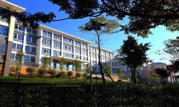 學(xué)校網(wǎng)站建設(shè)